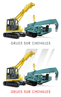 Location mini grue & grue sur chenilles